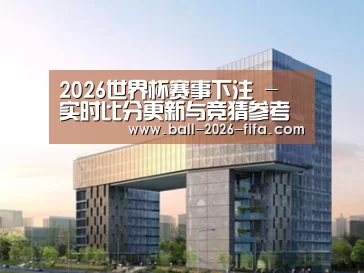 案例展示四