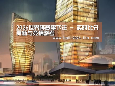 案例展示三